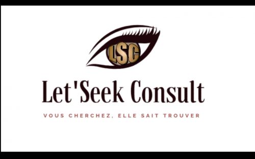logo de Let'seek Consult